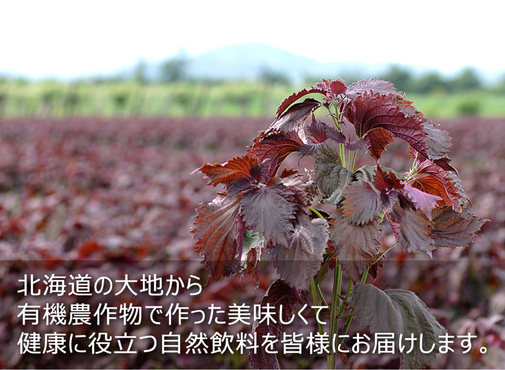 北海道の大地から有機農作物で作った美味しくて健康に役立つ自然飲料「しそジュース」を皆様にお届けしています。