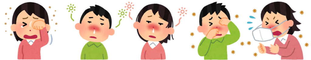 シソジュースで花粉症にならない体づくり：自己免疫力アップ（紫蘇ジュース）