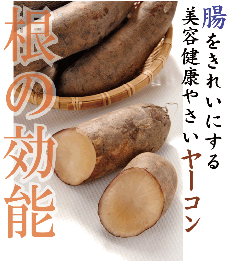 万能野菜「ヤーコン」