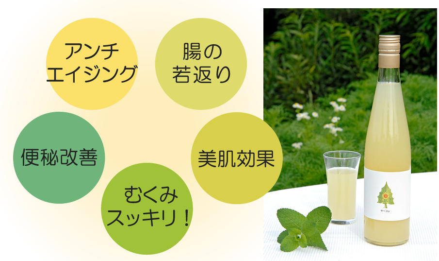 ヤーコン：アンチエイジング、むくみすっきり、肌の若返り、便秘改善