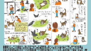 有限会社サンユー農産：ありがとう便NO75