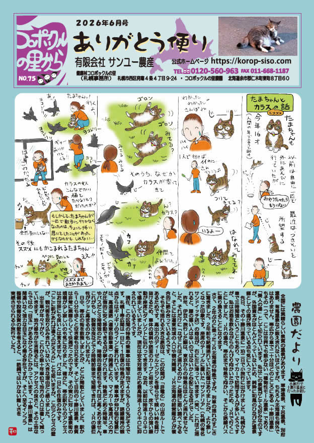 有限会社サンユー農産:ありがとう便NO75
